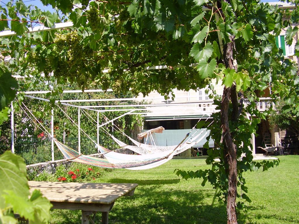 Guest House Darinka Draga Bascanska Ngoại thất bức ảnh