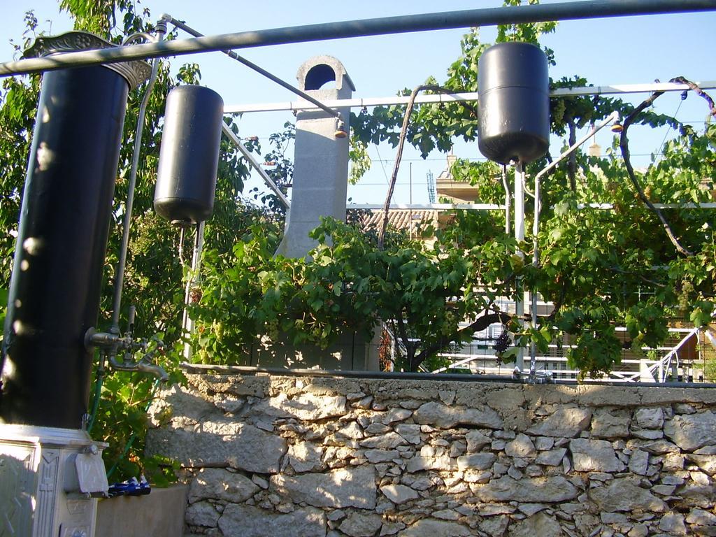 Guest House Darinka Draga Bascanska Ngoại thất bức ảnh